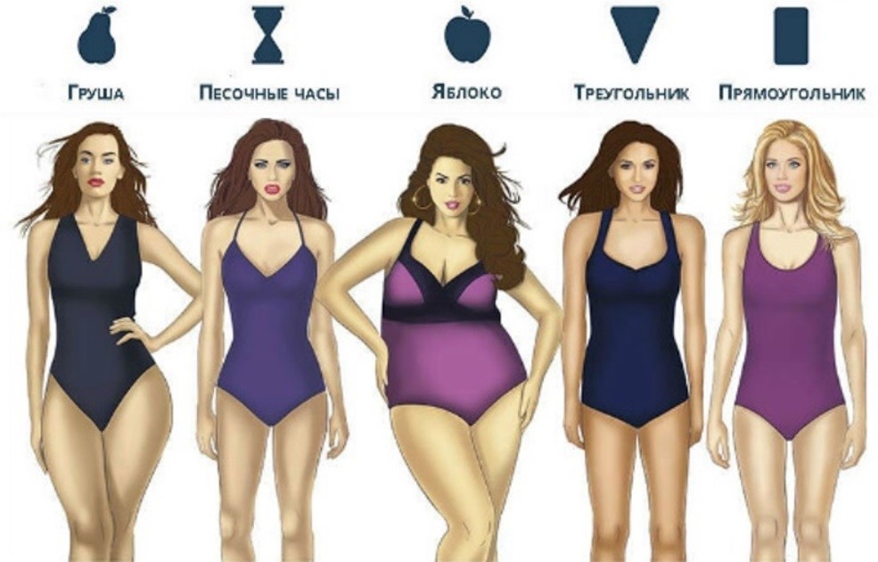 Виды жен. Типы фигур у женщин. Типы телосложения девушек. Форма тела девушки. Разные типы фигур девушек.