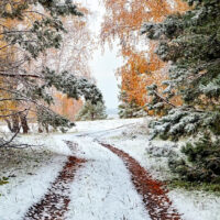 поздняя осень-ноябрь