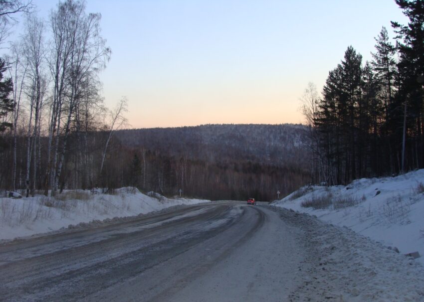поздняя осень в лесу